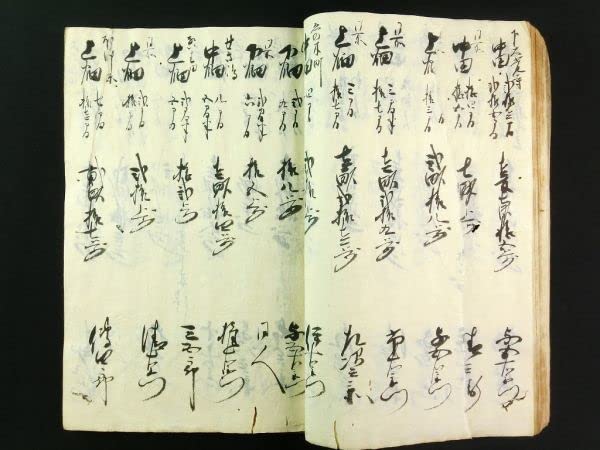 Amazon.co.jp: w818天和3年越後国頸城郡西条村 御検地水帳江戸 古文書